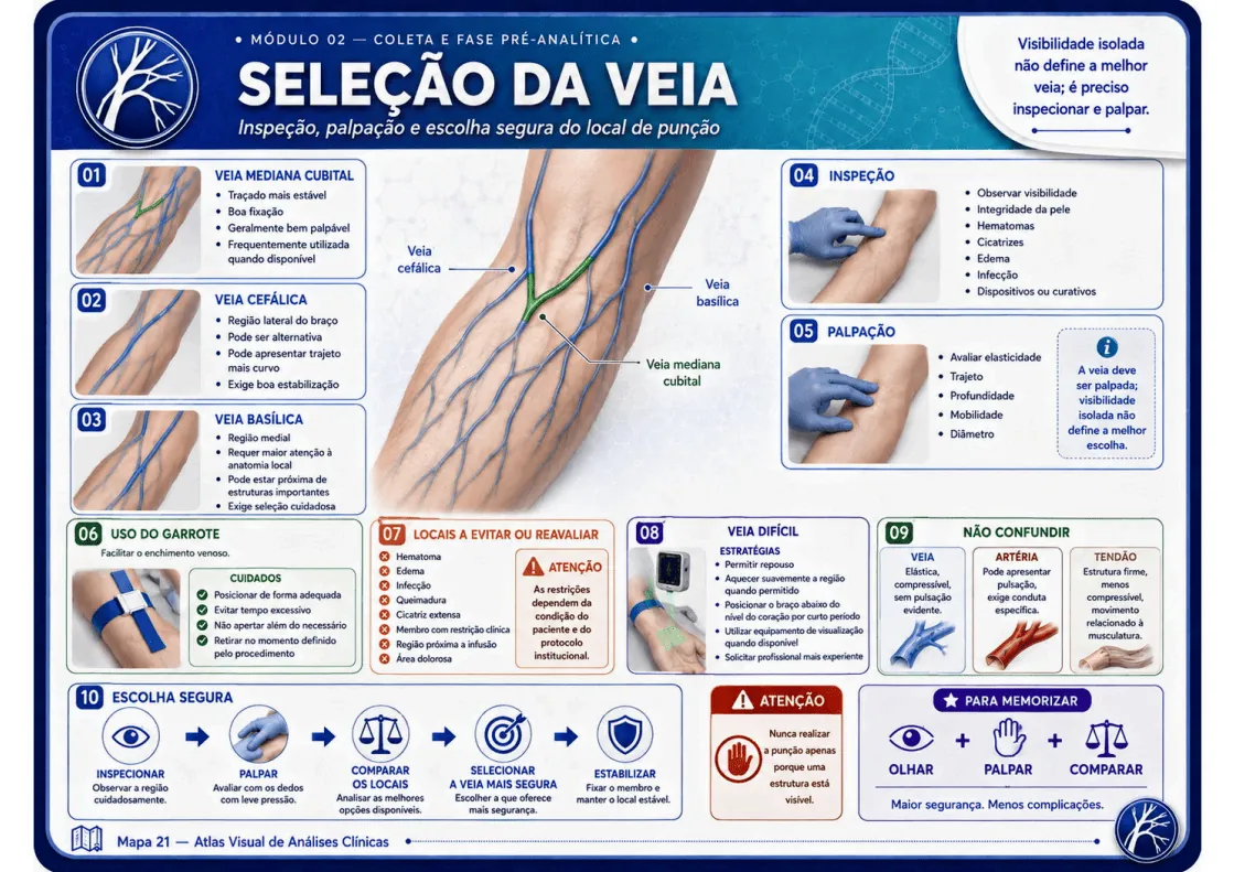 Mapa do Atlas sobre seleção da veia: inspeção, palpação e escolha do local de punção